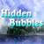 Hidden Bubbles