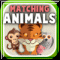 Matching Animals Moves