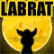 Lab Rat Quest For Cheese