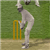Last Man Standing Cricket